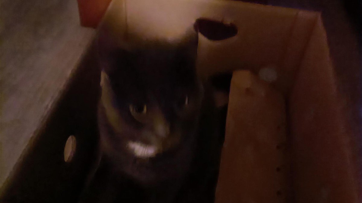 Milka