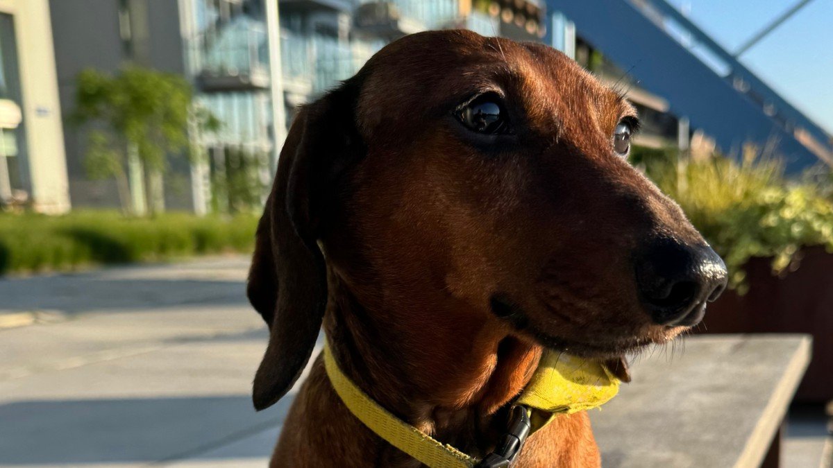 Max