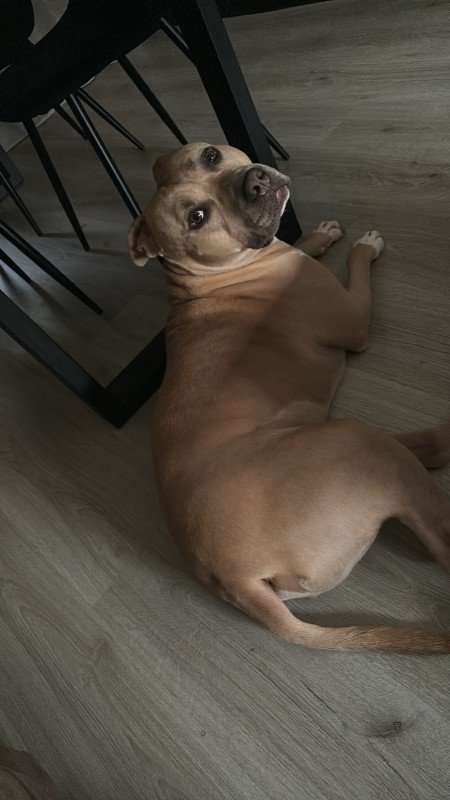Tyson