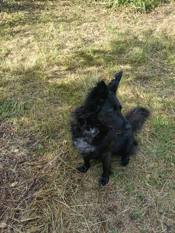 Millie