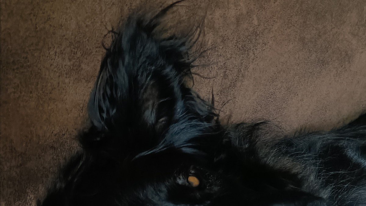 Millie