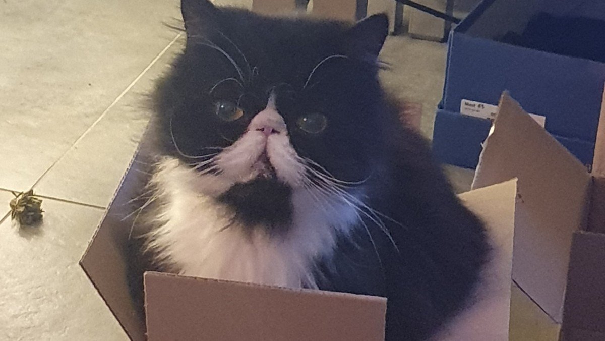 Karel