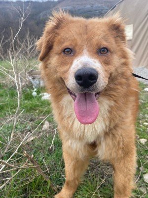 LUCA