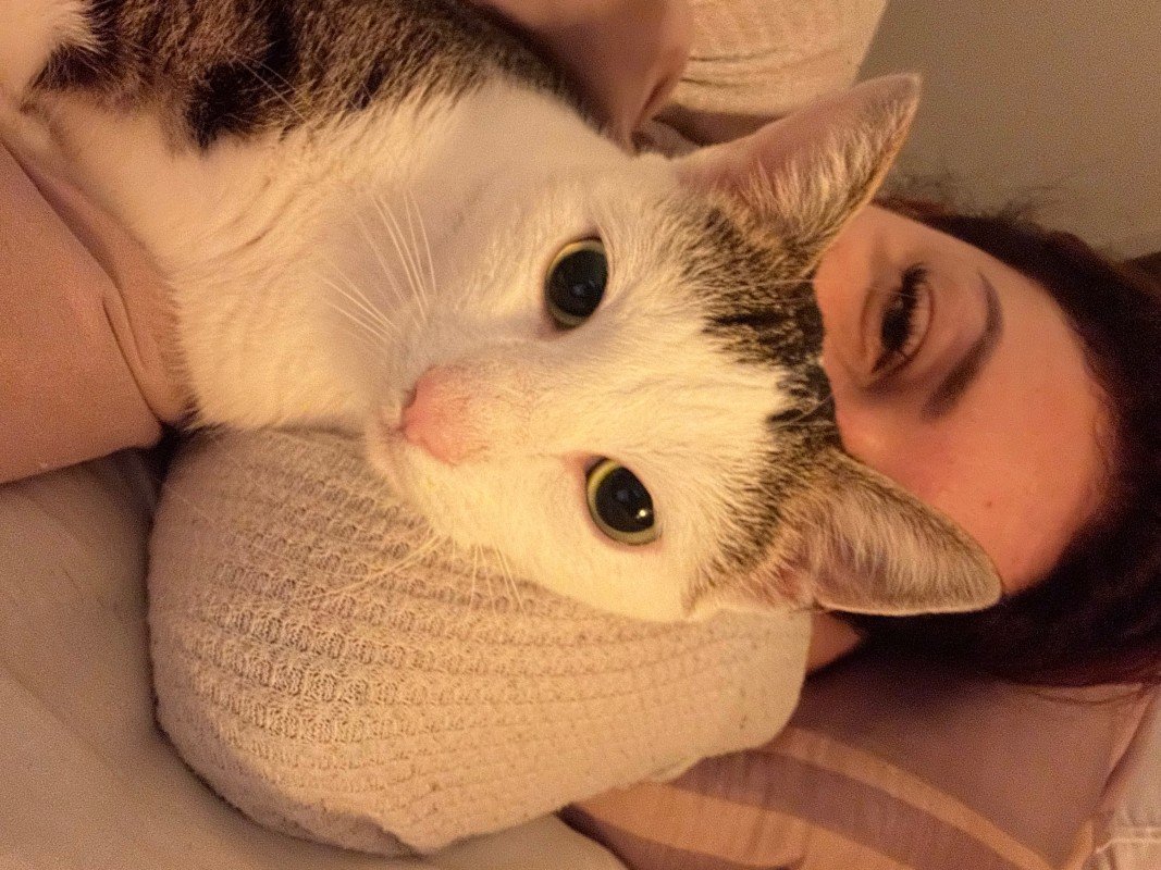 Vriend