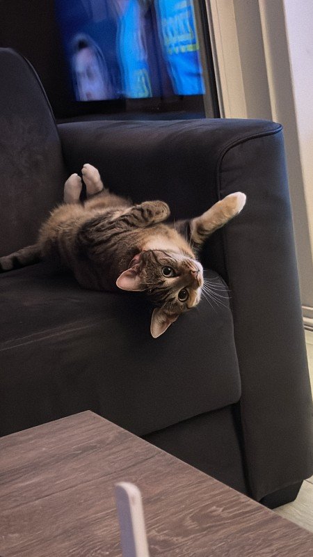 Nala