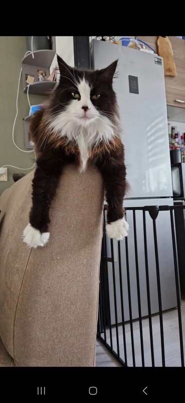 Minnie