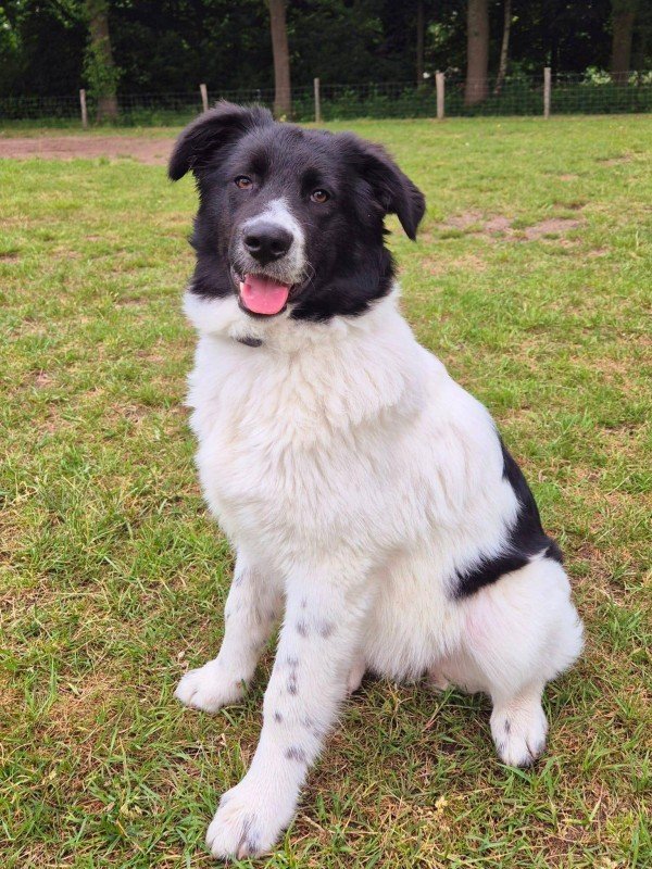 Bella