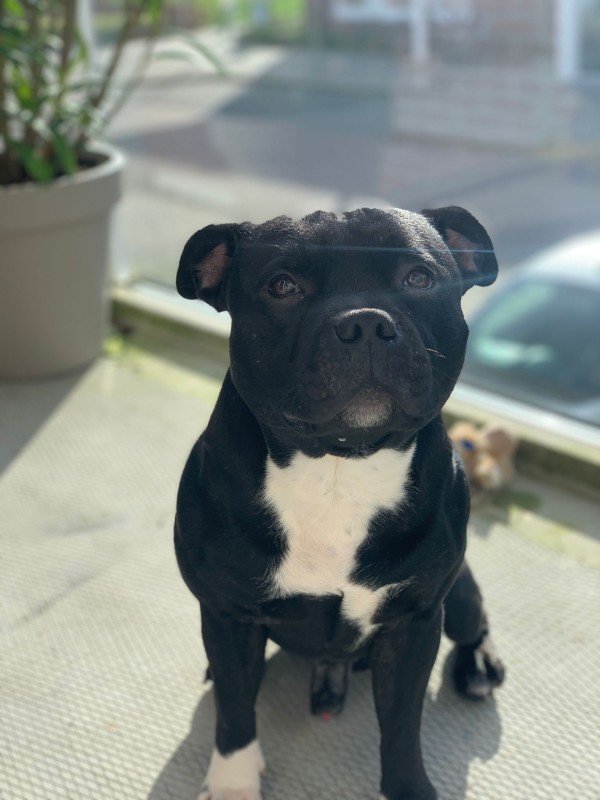 Dax