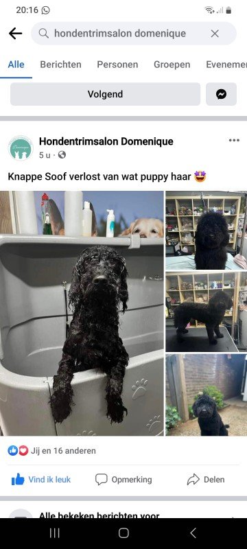 Soof