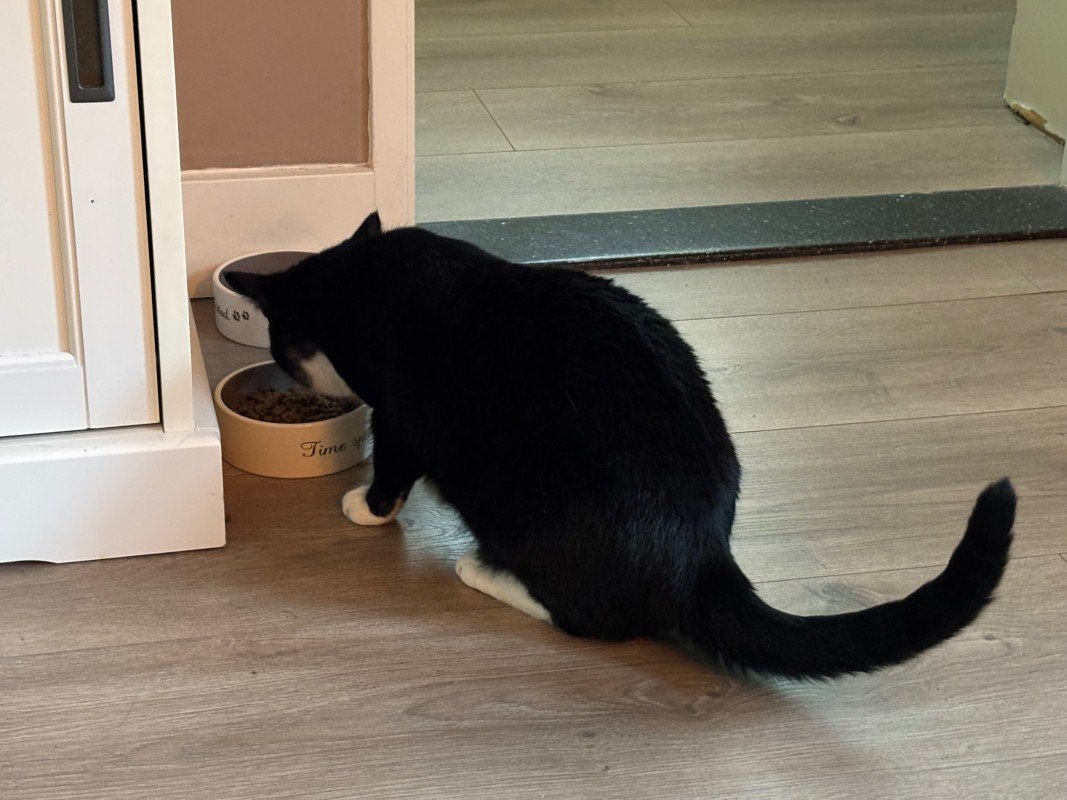 Pip