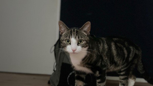 Billy