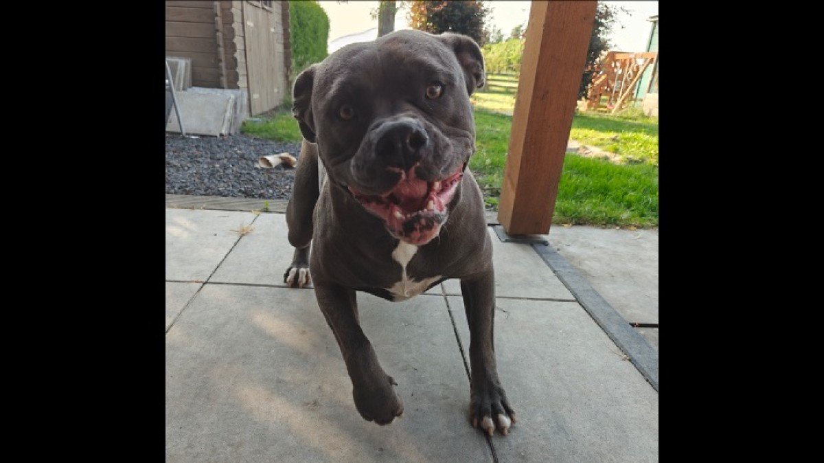 Odin