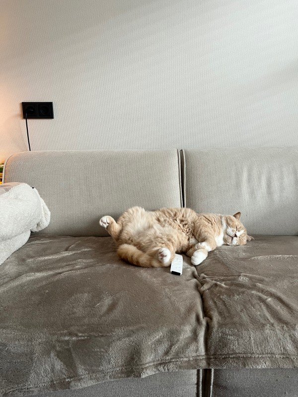 Otto