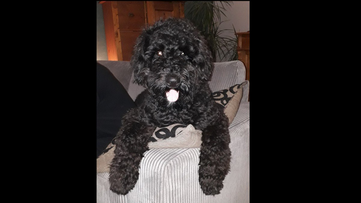 Max
