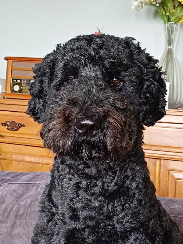 Max