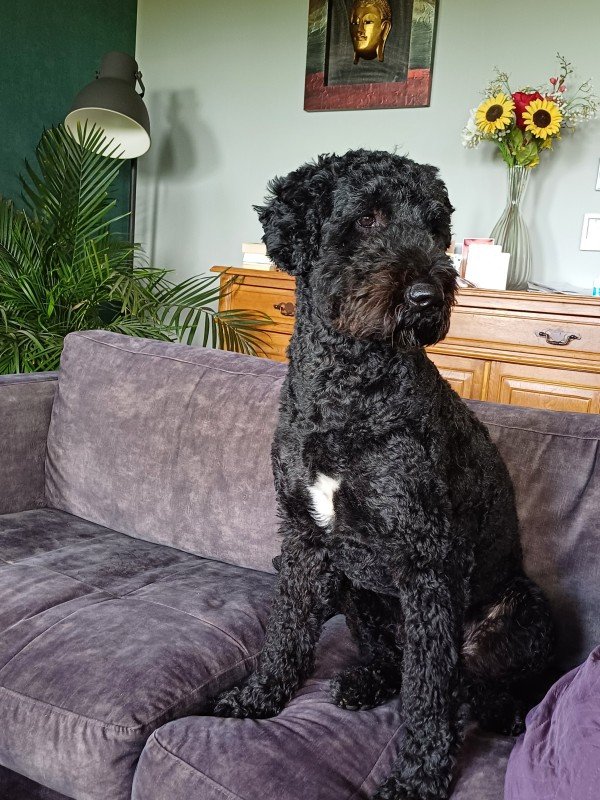 Max