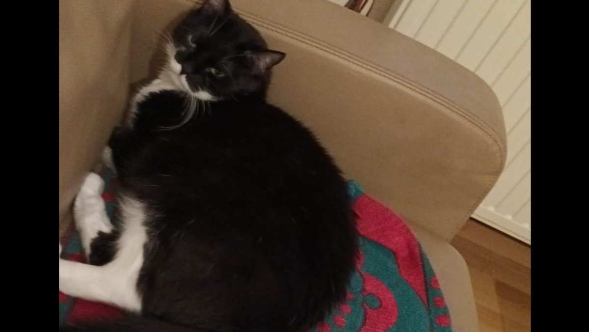 Oscar