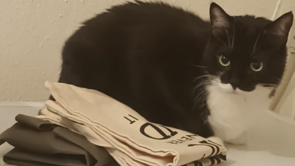 Oscar