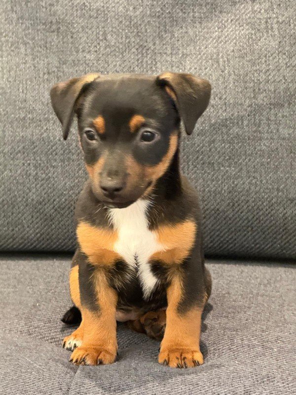 Luna
