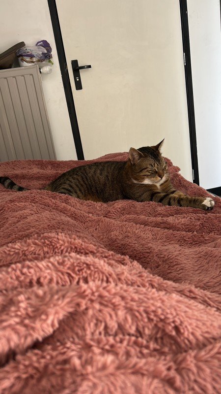 Nala