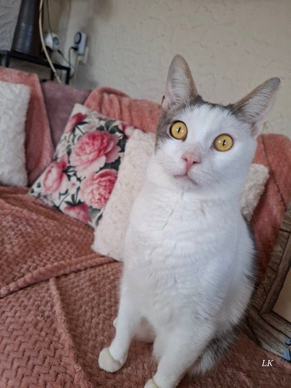 Benny