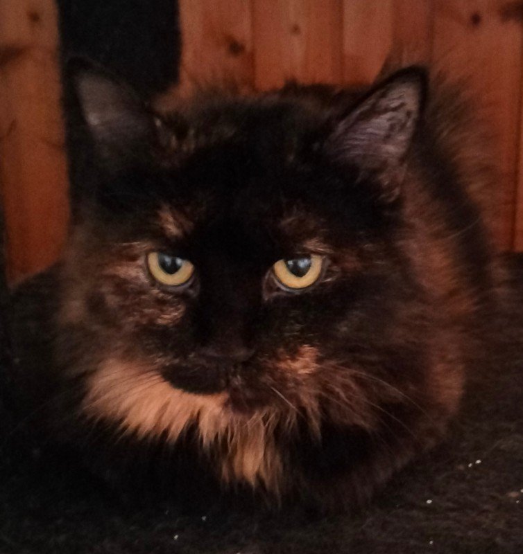 Nina