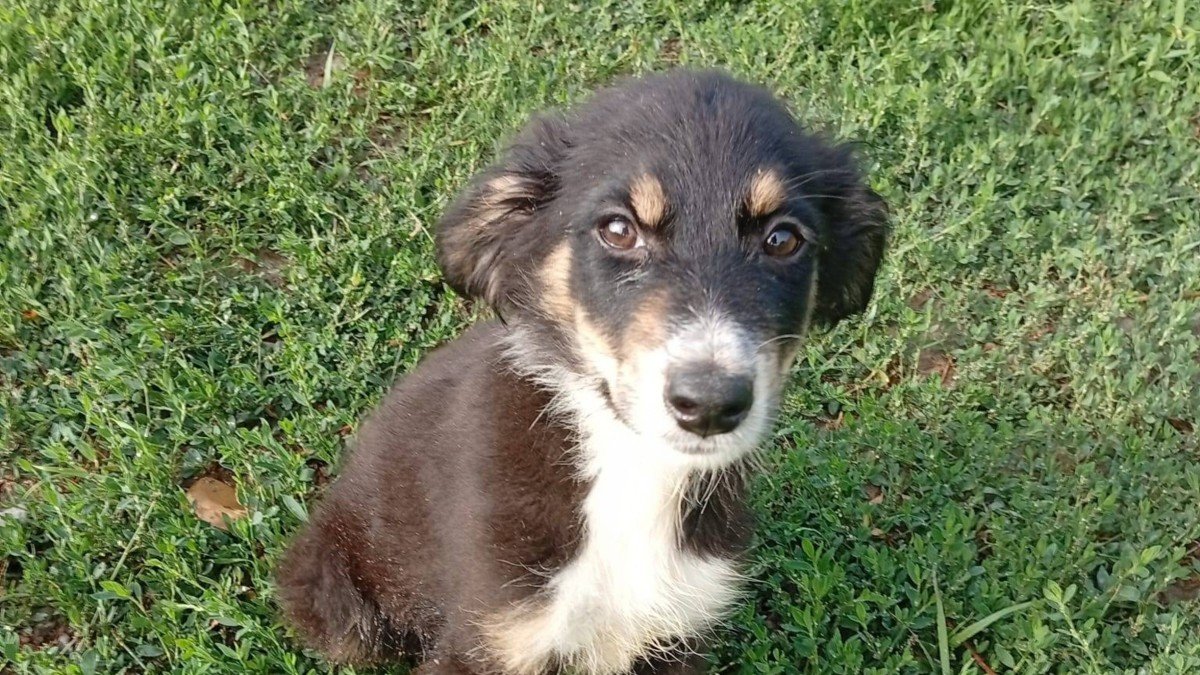 Sam