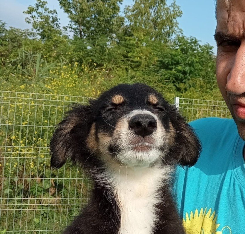 Sam