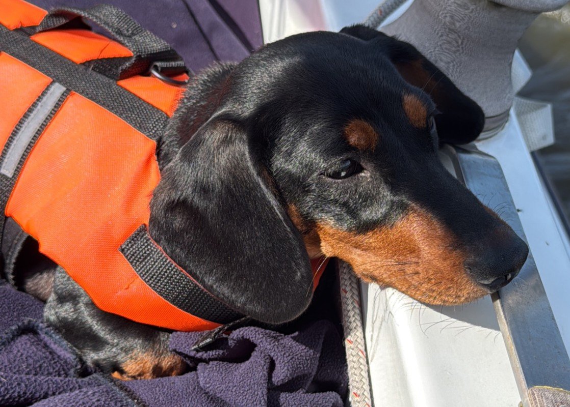 Suki