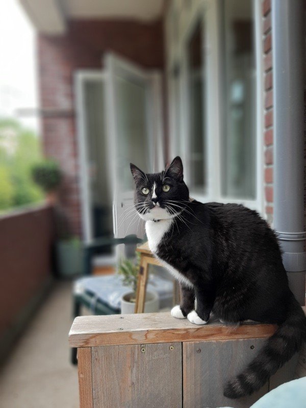 Jack