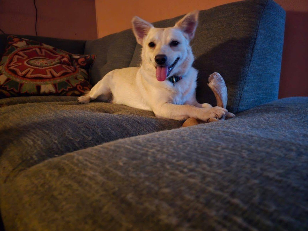 Suki