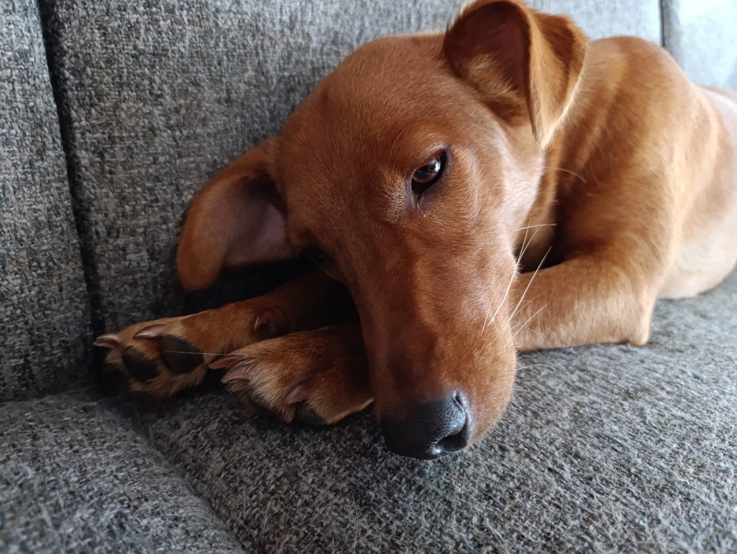 Zoë