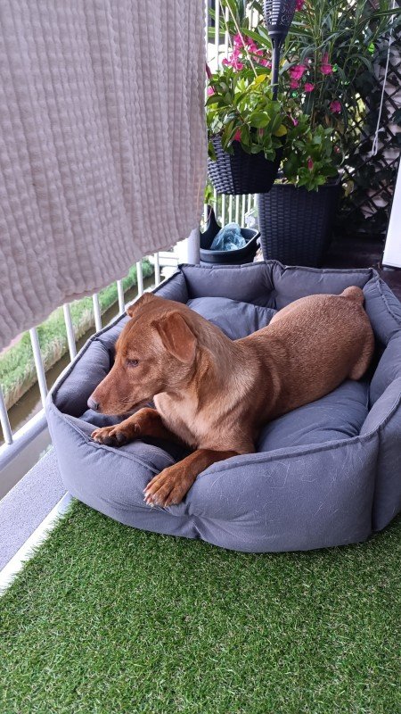 Zoë