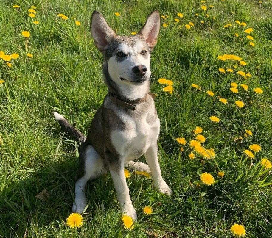 Marley