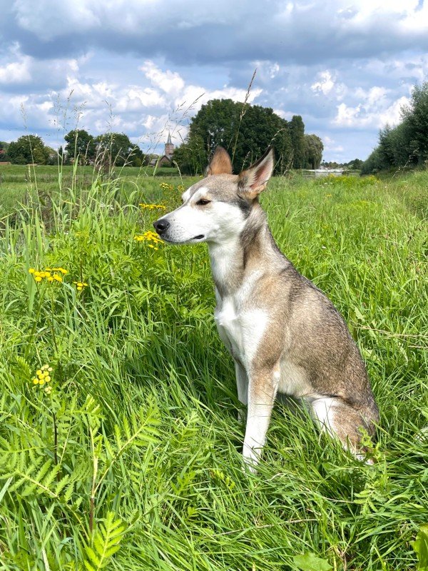 Marley