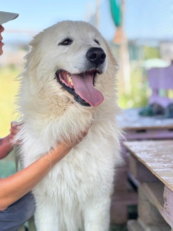 Zeus