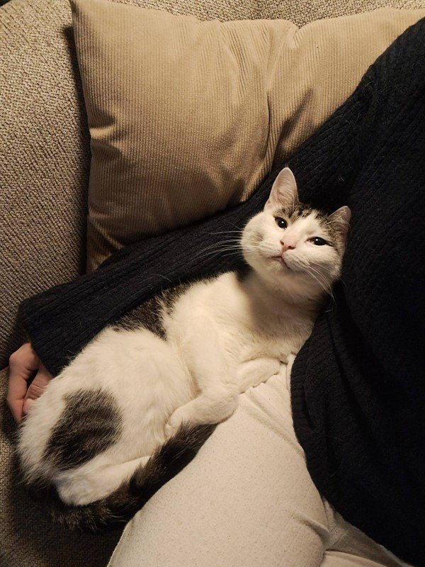 Max