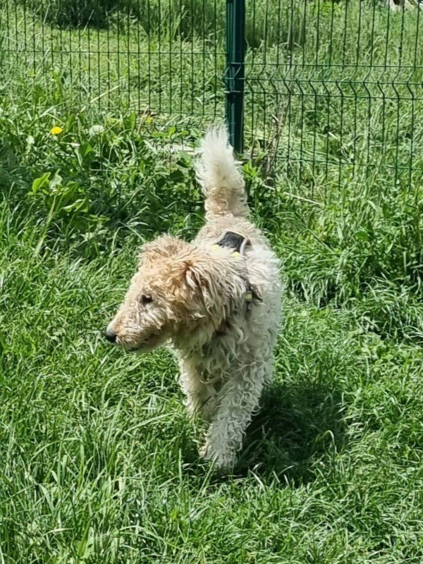 Kody