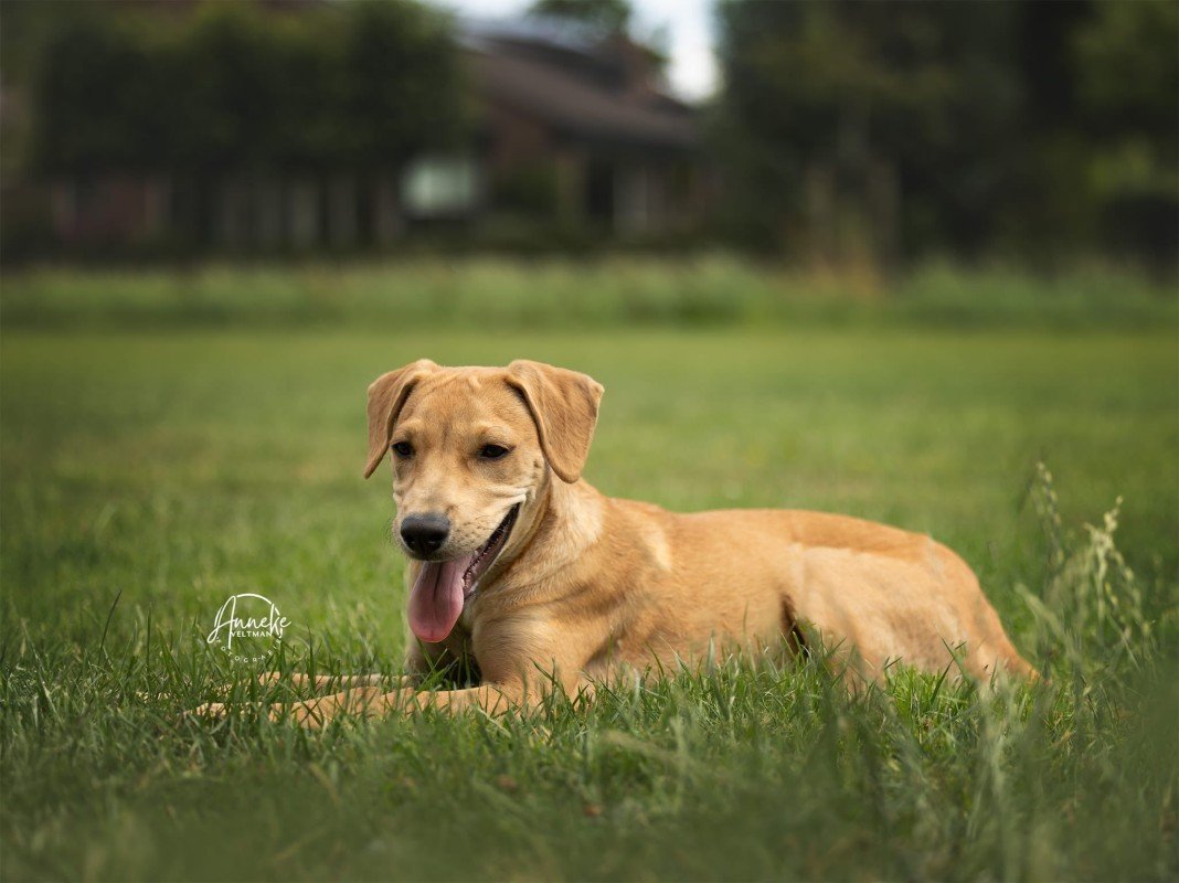 Missie