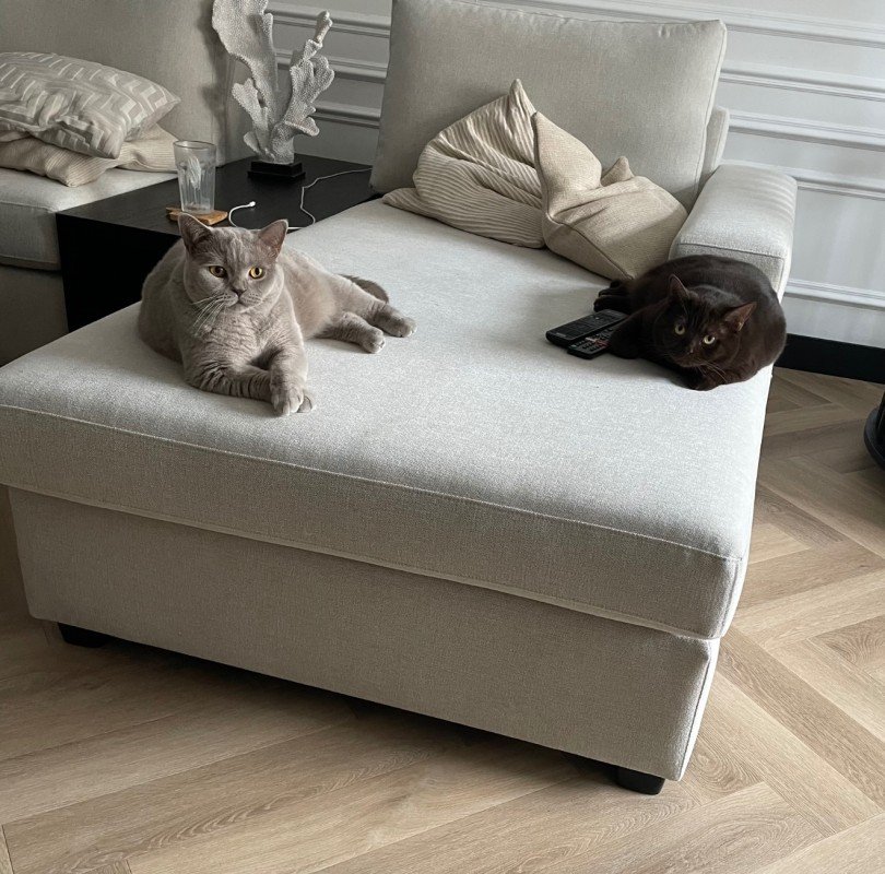 Koko