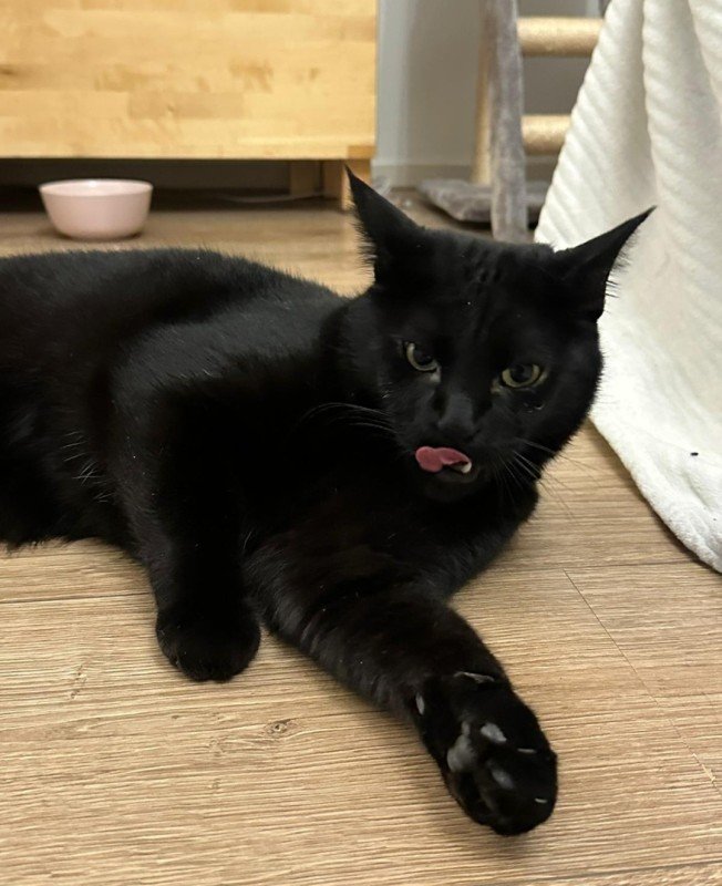 Archie