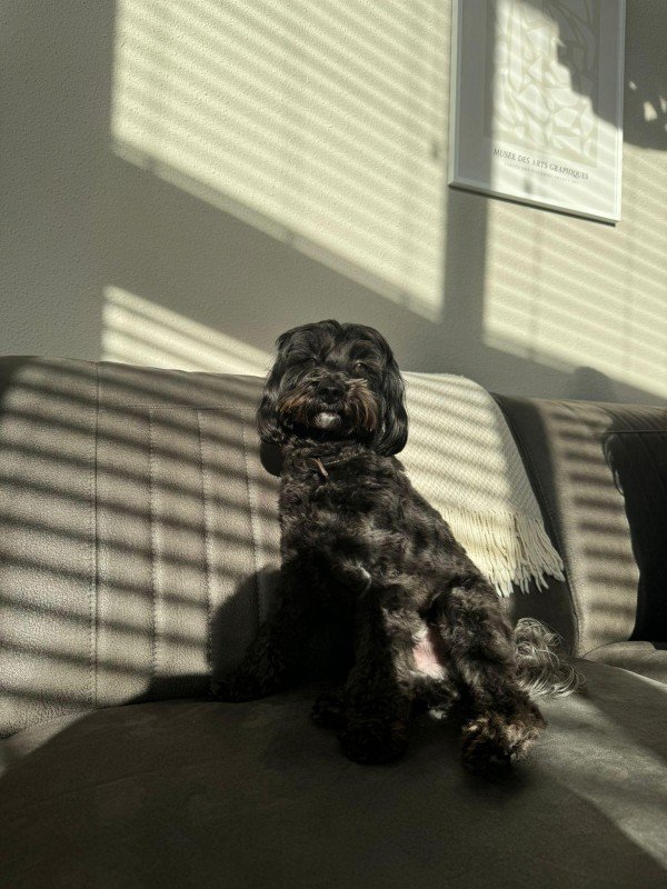 George