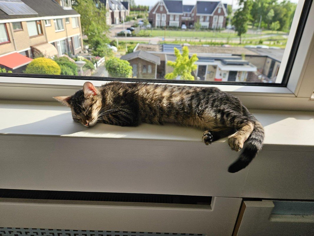 Laura