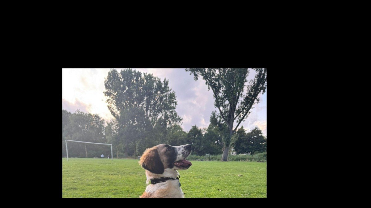Niko