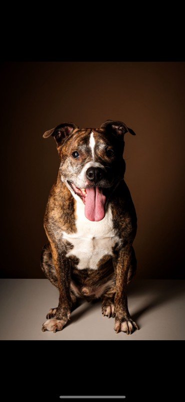 Buster