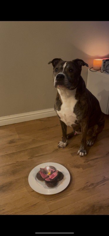 Buster