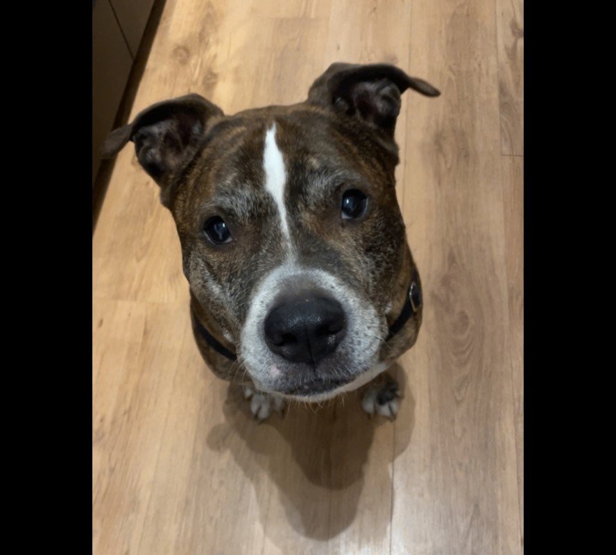 Buster