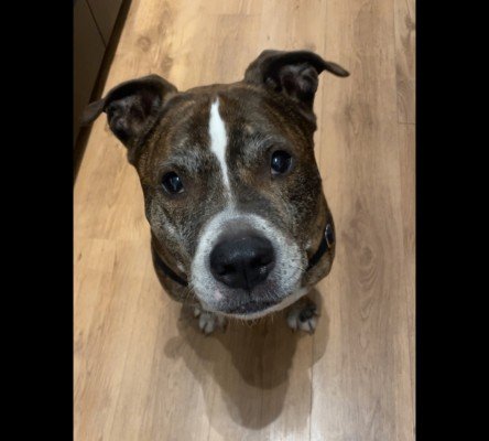 Buster