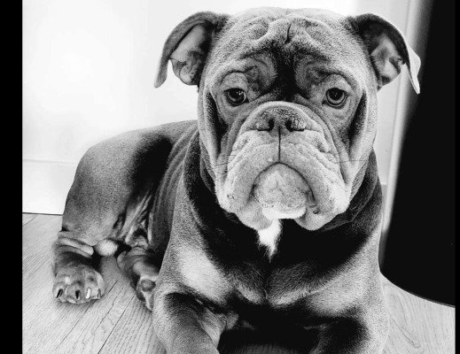 Otis