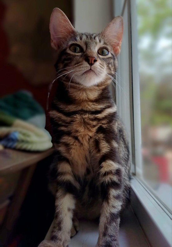Eleanor